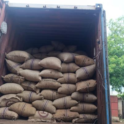 Whatsapp Image 2025 05 08 At 1.11.00 Pm